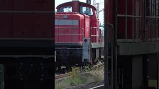 Bei uns lange ausgestorben  hier hat sie überlebt  V 90  BR 290 in Seddin train v90 [upl. by Johst]