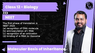 The first phase of translation is NEET 2020 a recognition of DNA molecule b aminoacylation of [upl. by Oremodlab]