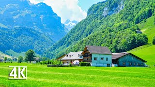 Weissbad Appenzell 🇨🇭 Switzerland [upl. by Noah908]