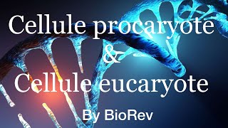 Cellule procaryote Vs cellule eucaryote [upl. by Oivaf]