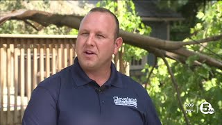 Who do you call when a tree falls into your house Expert offers advice for storm damage [upl. by Athalie138]