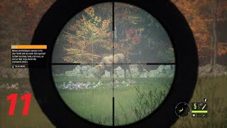 theHunter Call of the Wild New England Preserve First Moose [upl. by Aimat340]