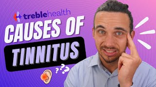 Causes of Tinnitus Ringing in the Ears [upl. by Ahsieki]