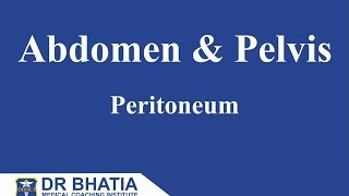 Anatomy  Abdomen amp Pelvis Peritoneum [upl. by Serdna]