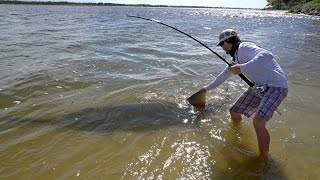 Gigantic 17ft Sawfish  ft Chew On This LunkersTV Jon B amp ApBassing  4K [upl. by Muffin852]