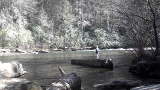 Fly Fishing Little River DuPont State Forest Brevard North Carolina [upl. by Gati207]