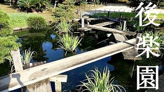 Korakuen  Japanese Garden Okayama ● 後楽園 岡山 [upl. by Descombes]