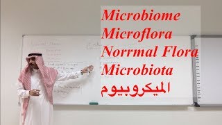 الميكروبيوم  Microbiome  Microflora  Normal Flora  Microbiota [upl. by Chlori]