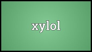 Xylol Meaning [upl. by Arlee]