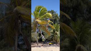 Kitesurfers just wanna have fun 😱🤣 Searching for coconuts [upl. by Akit]