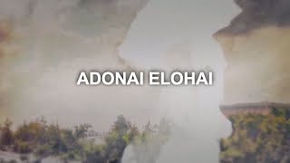 Adonai Elohai Lyric Video Paul Wilbur  Official [upl. by Stamata]