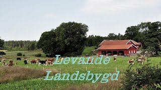 Levande landsbygd Dokumentär om modern lantgård 2024  LTVUSE [upl. by Ardnos]