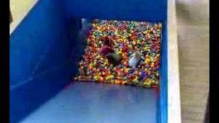 Ball Pool Pit Drop Slide Fun at Cornwalls Crealy Cornwall [upl. by Oneladgam]