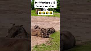 Mr Warthog V18 Family Vacations Day  There is No Problem 😂😂😂😂 [upl. by Nylave]