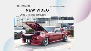 2023 Mustangs at Daytona Scootervision Revisited [upl. by Nile398]