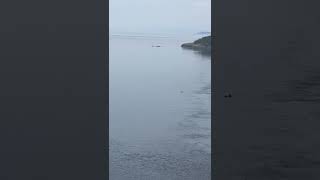 Deception Pass  looking down from the bridge 2 [upl. by Vitia]