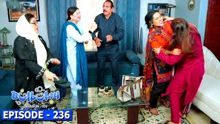 Bulbulay Season 2 Episode 236  Ayesha Omar amp Nabeel [upl. by Elyagiba]