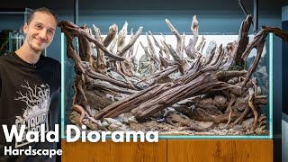 Hardscape vom Wald Diorama Aquarium  IAPLC 2024 Platz 24 [upl. by Atinej159]