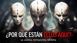 ¿POR QUÉ ESTÁN ELLOS AQUÍ La agenda extraterrestre secreta ¡lo que NECESITAS saber Paul Wallis [upl. by Uase930]