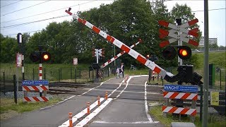 Spoorwegovergang Dordrecht Zuid  Dutch railroad crossing [upl. by Warwick]