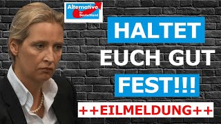 Schonungslose Wahrheit Alice Weidel redet Klartext [upl. by Corly]