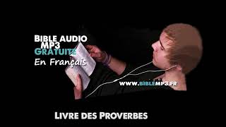 Bible audio  Le livre des Proverbes  Bible MP3 en Français [upl. by Zetta423]