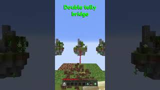 DOUBLE TELLY BRIDGE [upl. by Nuahsyd]