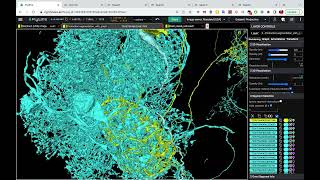 FlyWire for Interactive Neuroscience Visualizations [upl. by Micki]