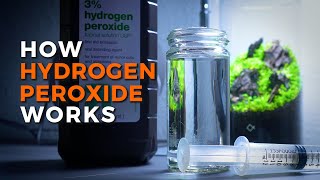 Hydrogen Peroxide for Algae Control in the Aquarium [upl. by Ranger468]