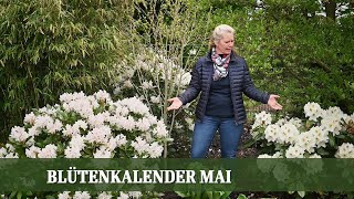 Blütenkalender Mai  Pfingstrosen Flieder Schneeball Rhododendron Storchschnabel [upl. by Marjory]