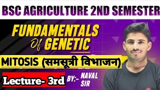 MITOSIS  BSC AGRICULTURE FIRST YEAR 2ND SEM FUNDAMENTAL OF GENETICS  Bsc Agri Genetics notes class [upl. by Dera]