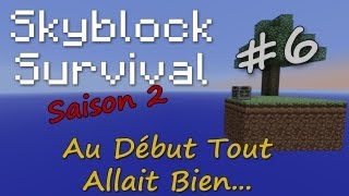 Skyblock FR  S2 Episode 6  Au début tout allait bien [upl. by Dorthea806]