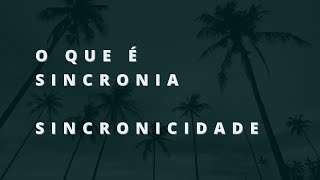 O QUE É SINCRONIA  SINCRONICIDADE [upl. by Werdnael]