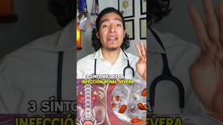 ¿Cómo se presenta una infección renal severa pielonefritis medicina [upl. by Akimas415]