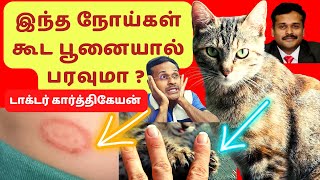 பூனையால் வரும் நோய்கள்  cat fever symptoms treatment tamil dr Karthikeyan  cheetah india Namibia [upl. by Lanoil]