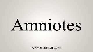 How To Say Amniotes [upl. by Solohcin]