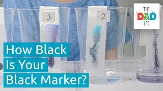 Explore Black Markers with Chromatography  Kids Science [upl. by Imotas]