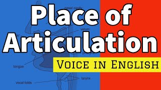 PLACE OF ARTICULATION  Phonetics  The Sounds of Language  The Study of Language   ENGLISH [upl. by Auahsoj251]