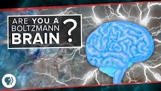 Are You a Boltzmann Brain [upl. by Syah]