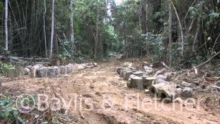 Logging road Malaysia 20121110125219m2ts [upl. by Barna]