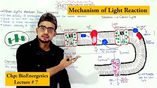 Class 11 BiologyCh13 Part6Cyclic amp noncyclic photophosphorylationStudy with Farru [upl. by Jaquenetta596]