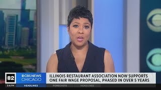 Compromise reached on plan to eliminate lower minimum wage for Chicagos tipped workers [upl. by Euqor]