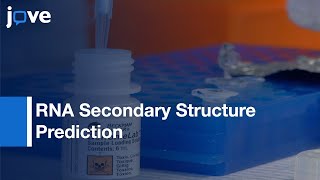 RNA Secondary Structure Prediction By HighThroughput SHAPE l Protocol Preview [upl. by Nuavahs]