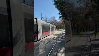 Tram 1 Schottenring stop Vienna Austria vienna austria viennacity viennatoday [upl. by Innos959]