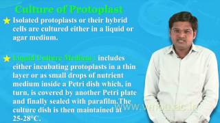 Protoplast Isolation amp Culture [upl. by Ada]