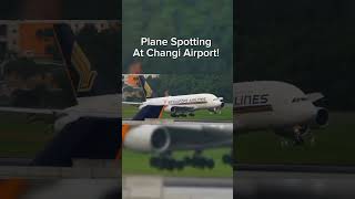 Plane Spotting At Changi Airport [upl. by Acnaiv439]