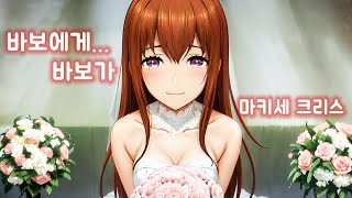 바보에게 바보가  마키세 크리스 Makise Kurisu  AI Cover [upl. by Jennee]