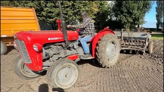 Massey Ferguson 35X and 732 disc drill [upl. by Rozele]