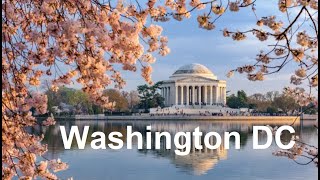 Cherry Blossom Washington DC  Tidal Basin walking tour  Best place to see Cherry Blossom in DC [upl. by Airel331]