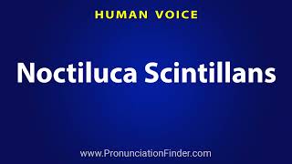 How To Pronounce Noctiluca Scintillans [upl. by Ameh]